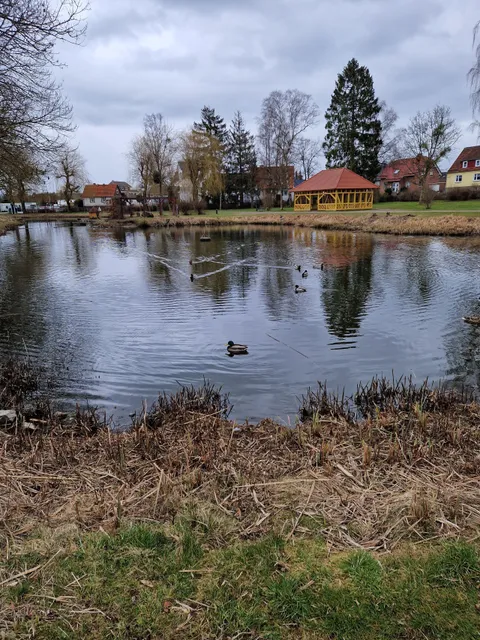 Karpfenfänger-Teich