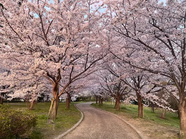 Yodogawa Kasen Park - Moriguchi Area