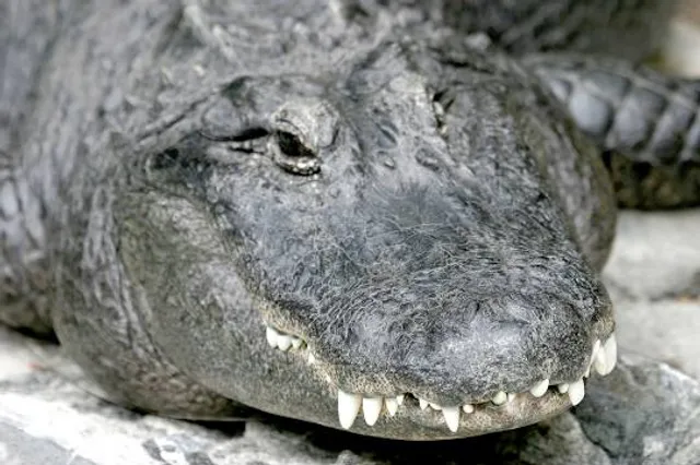 Alpo Jaakola Sculpture Park