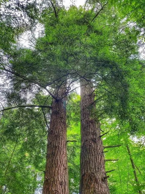 Cathedral State Park