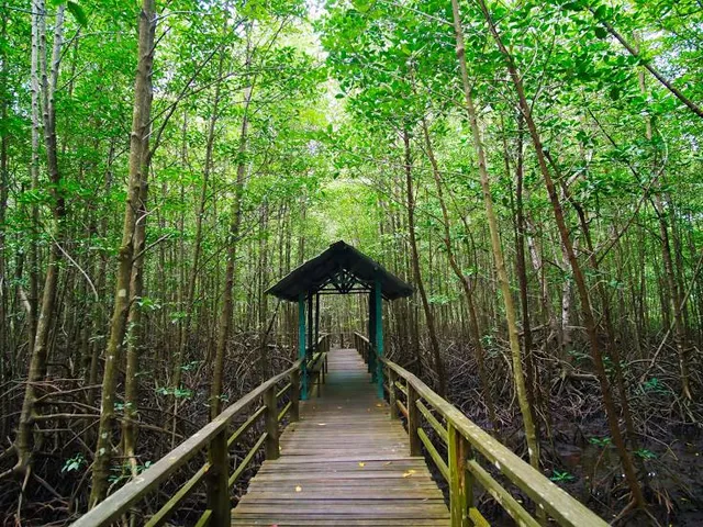 Kota Kinabalu Wetland Ramsar Site