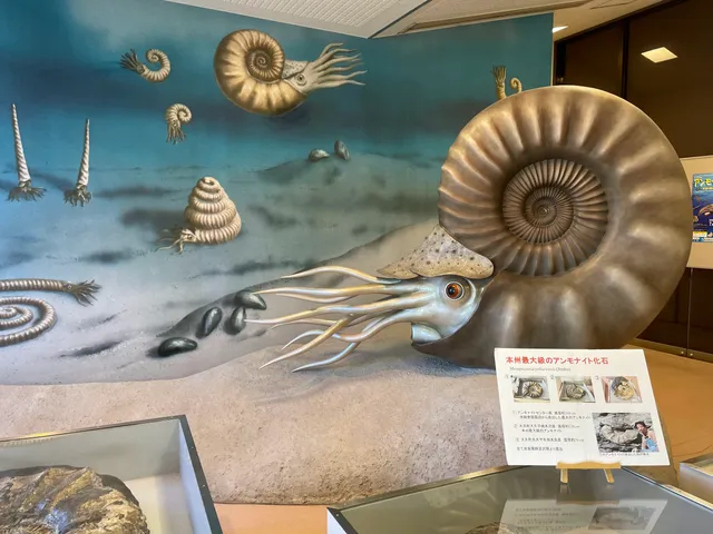 Iwaki Ammonite Center