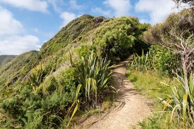 Te Whiti Riser Entrance