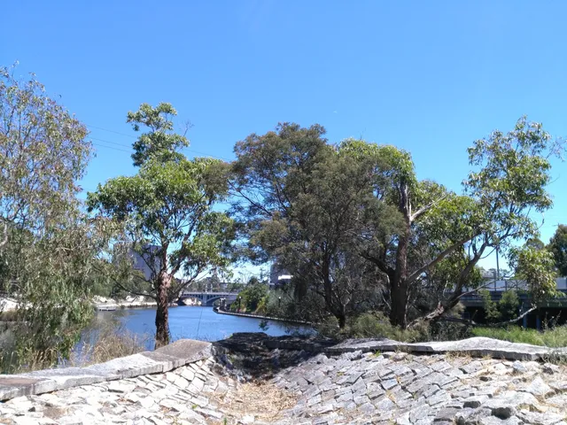 photo-1