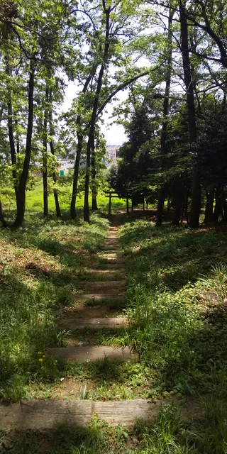 photo-1