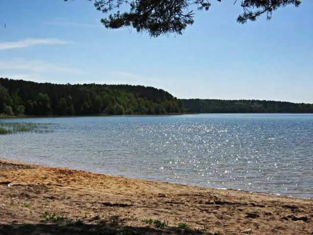 Бережанская волость