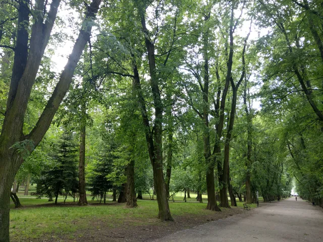 The city park. Monte Cassino