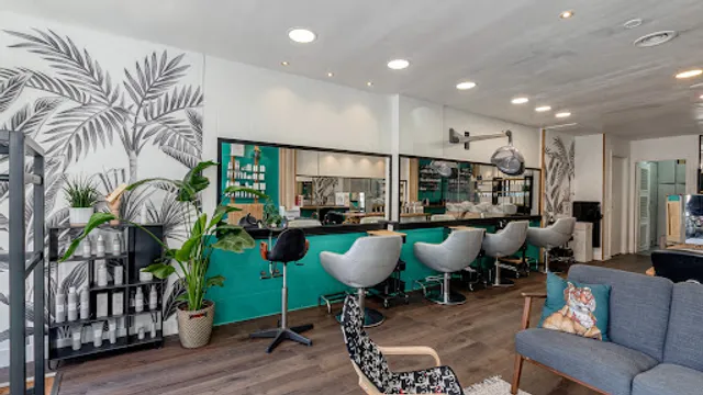 Salon Frangines Salon De Coiffure Visagiste Coloriste Relooking Paris 75015