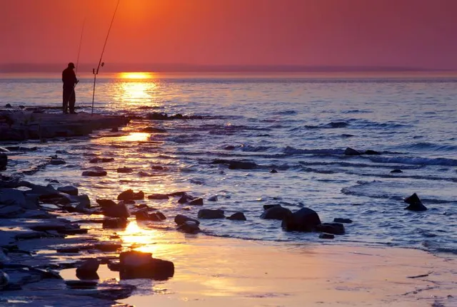 Craigleith Provincial Park