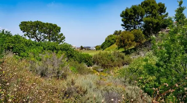 Linden H. Chandler Preserve