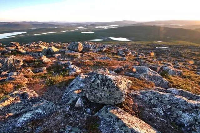 Käsivarsi Wilderness Area