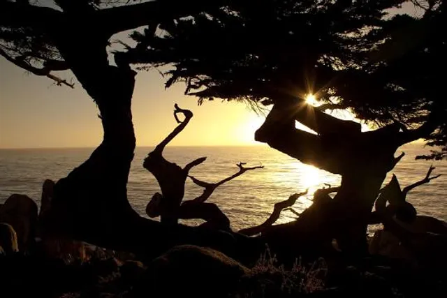 The Sunburst Railbikes