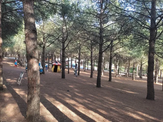 Çamlıca Parkı