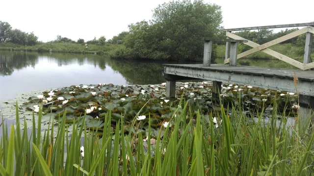 Ballannette Nature Reserve