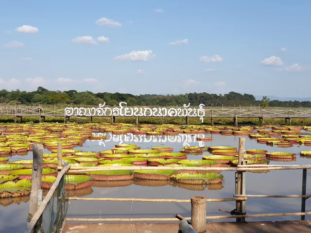 เกาะแม่หม้าย The Widow Island