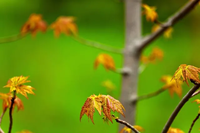 Oakfield Provincial Park