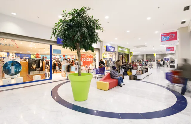 Centre commercial Carrefour Vénissieux