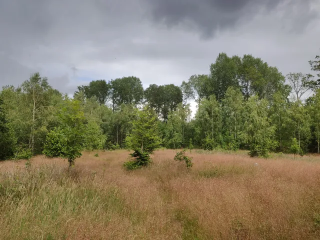 Älganäs naturreservat