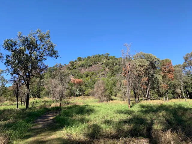 Mount Scoria Conservation Park