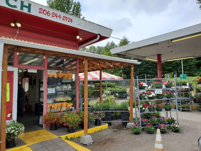 Duane's Garden Patch