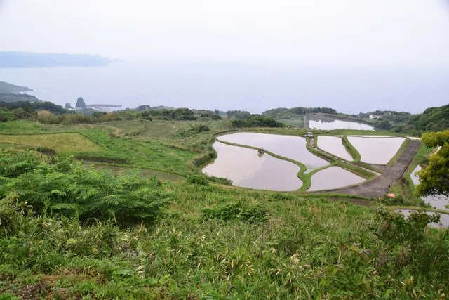 Higashi Ushirobata Rice Terraces