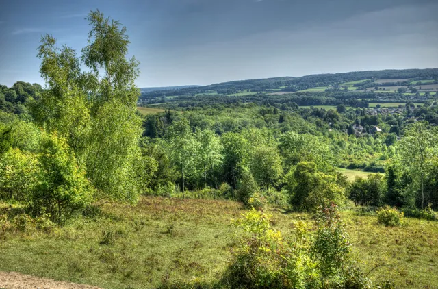 Kemsing Down - Kent Wildlife Trust