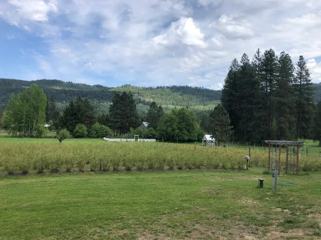 Roots Produce & Flower Farm