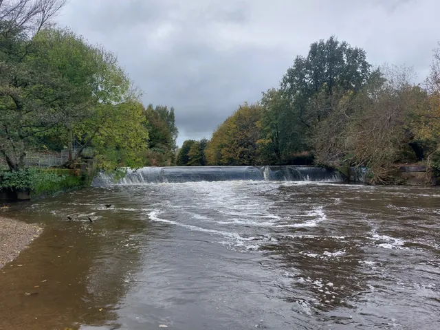 Kirkstall Valley Nature Reserve
