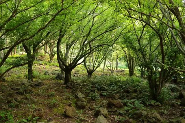 Kanvashram “Birth Place of Emperor Bharat”