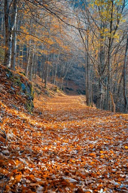 PR13 MTG Rota das Faias (início do percurso), Manteigas