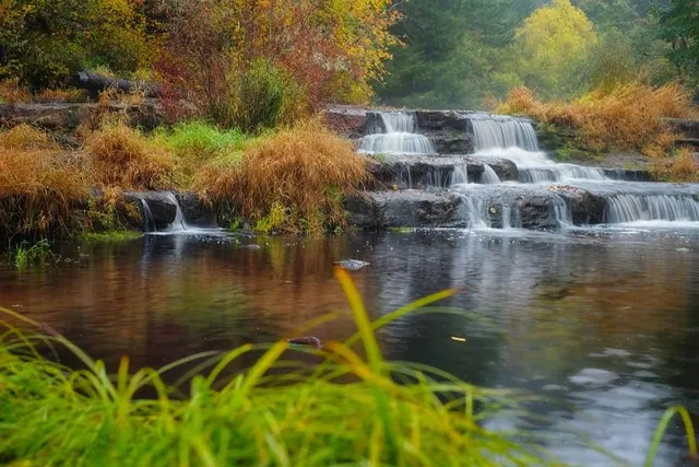 Siuslaw National Forest Supervisor's Office