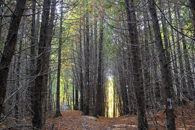 Pretty River Valley Provincial Park