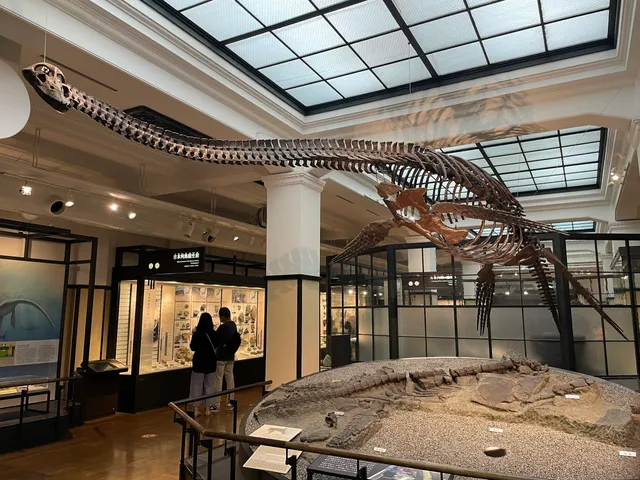 National Museum of Nature and Science Global Gallery