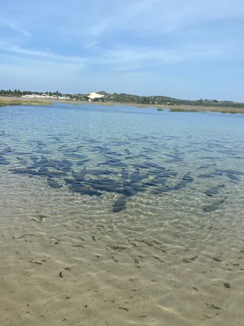 A Pioneira Lagoa dos Tambaquis