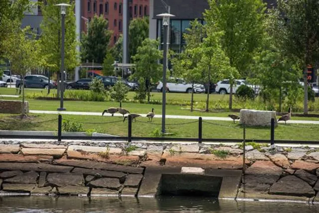 Providence Innovation District Park