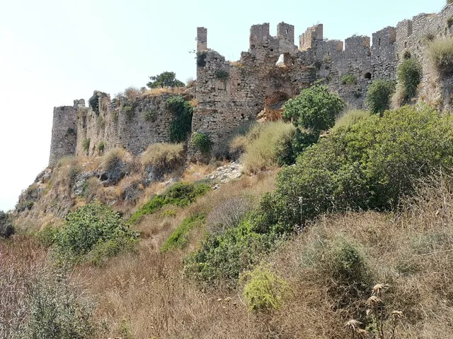 photo-1