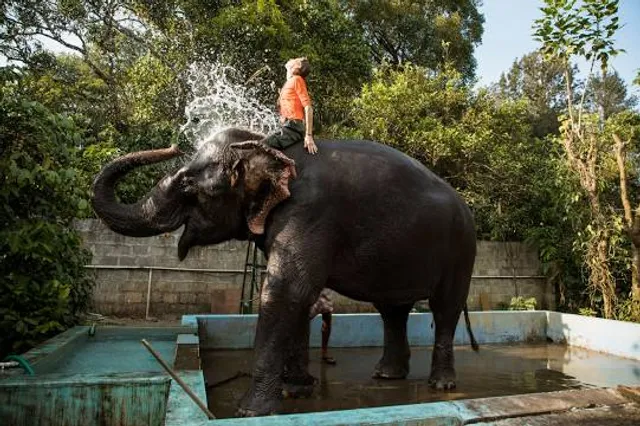 Elephant camp, Thekkady