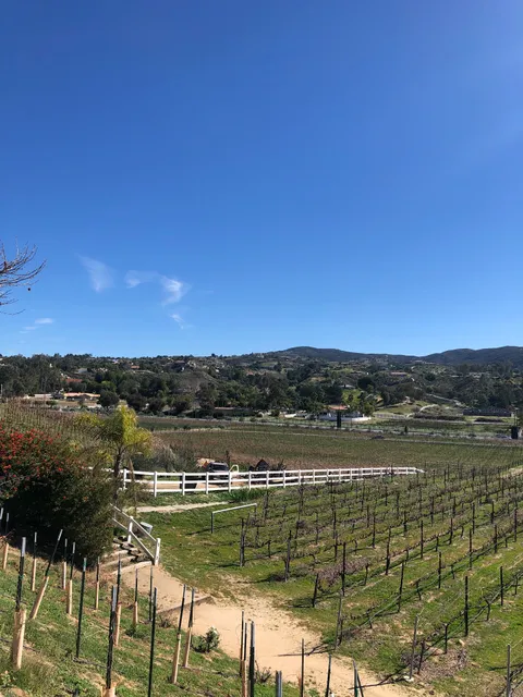 Grapeline Wine Tours