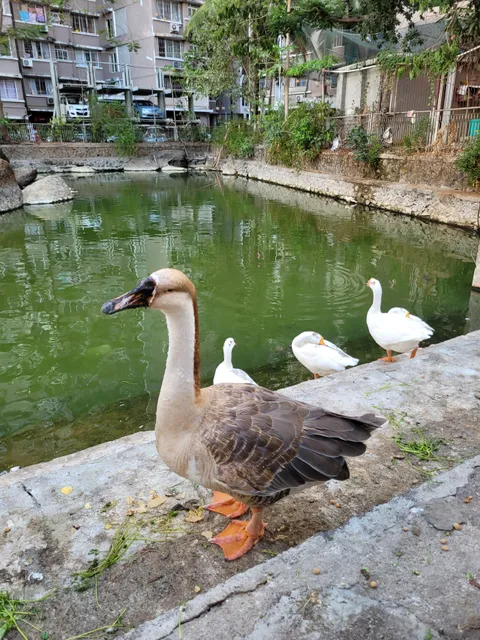 Vazira Ganesh Temple