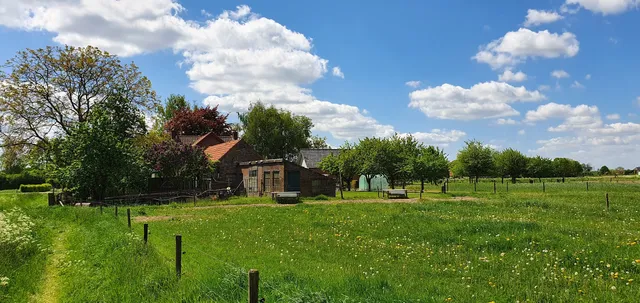 photo-1
