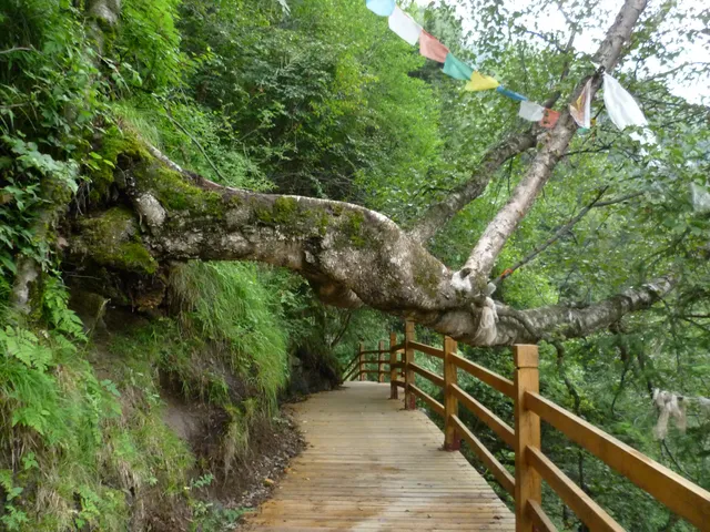 place image