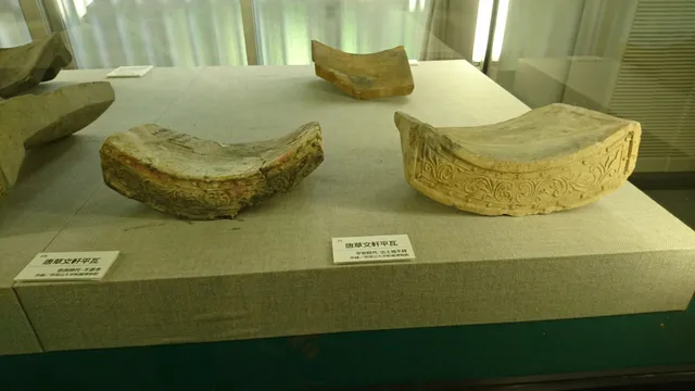 Tezukayama Included Museum