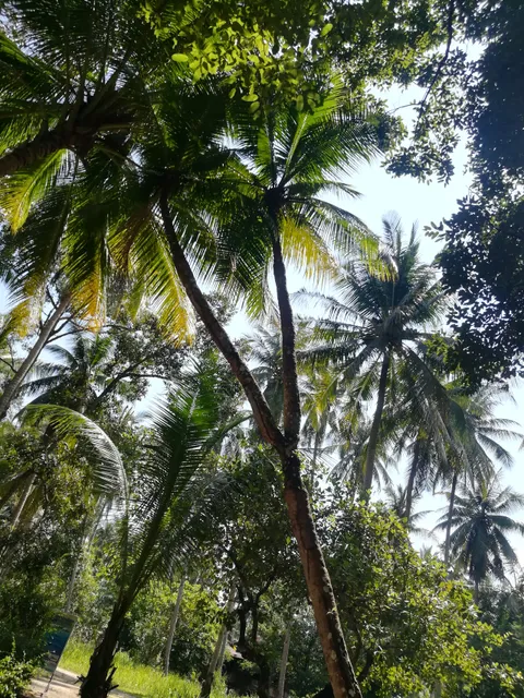 Bo Chet Luk Archaeological Site