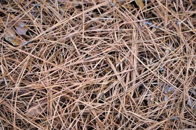 Salda Gölü Konaklama