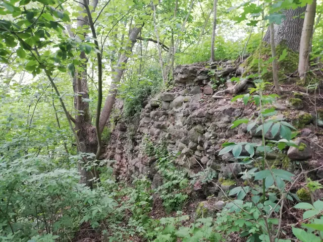 Zamek Krzyżacki w Lipienku