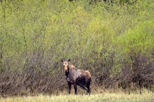Crooked River Provincial Park
