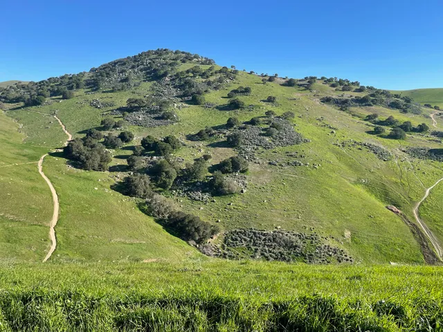 Brushy Peak Regional Preserve