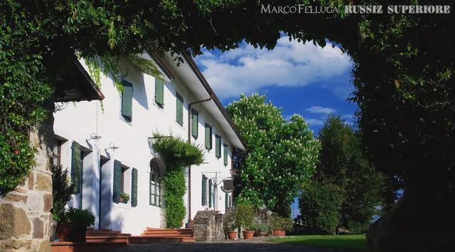 Marco Felluga S.r.l.