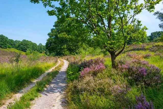 Parc du Champ des Bruyères