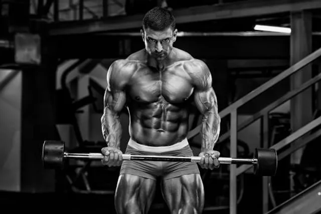 Peabody Museum of Archaeology and Ethnology